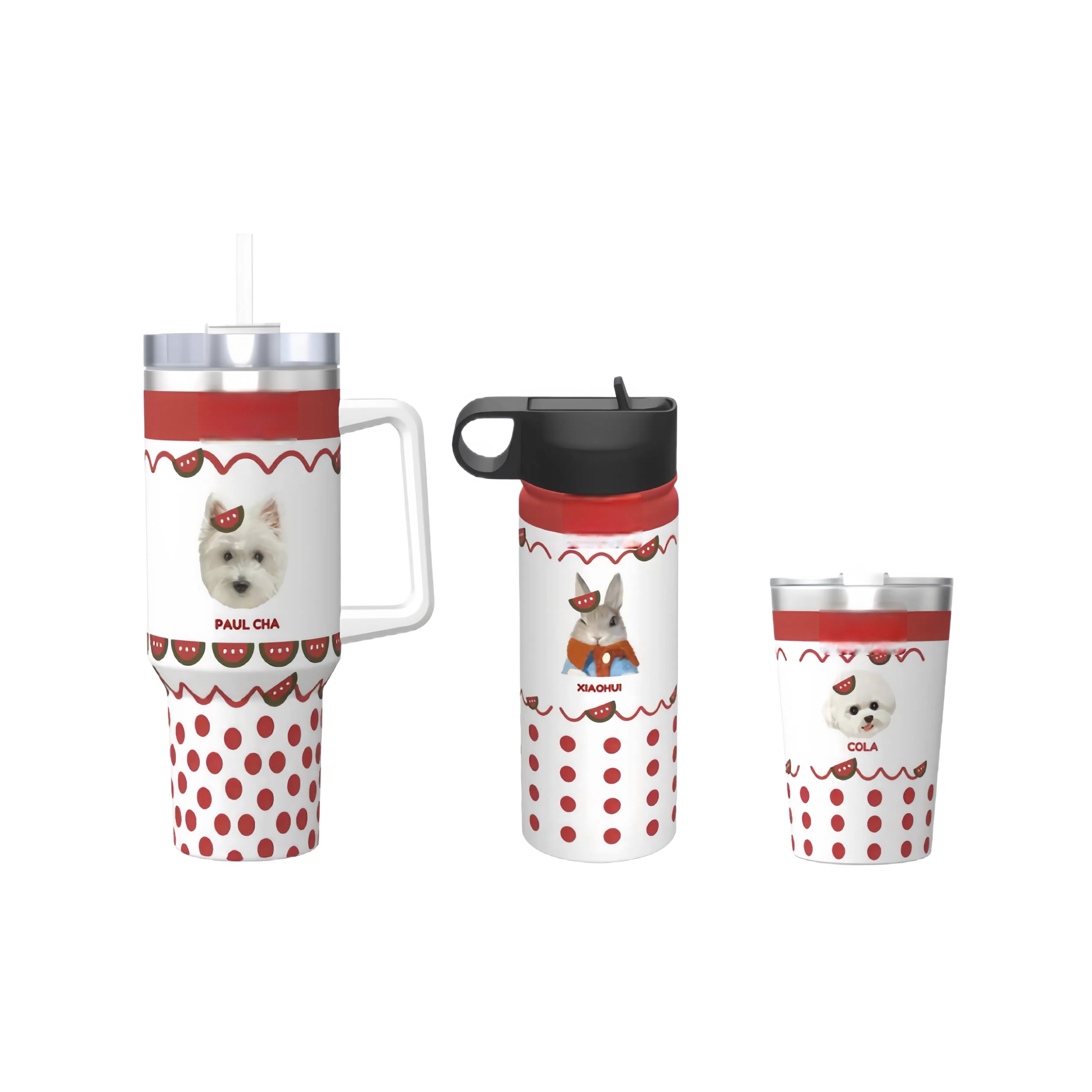 AikeDear-Customizable Insulated Pet Cup