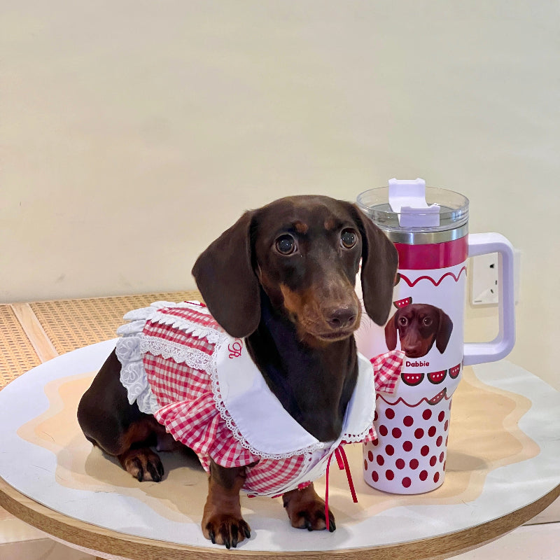 AikeDear-Customizable Insulated Pet Cup