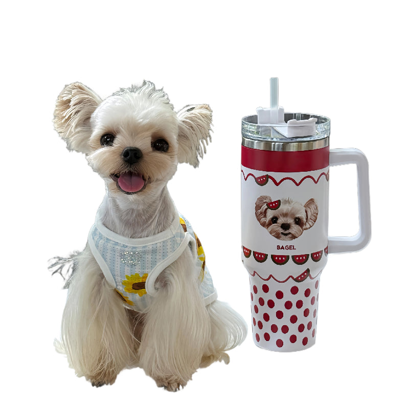 AikeDear-Customizable Insulated Pet Cup