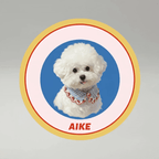 AikeDear-Custom Pet Portrait Rug  Made of Love & Paws