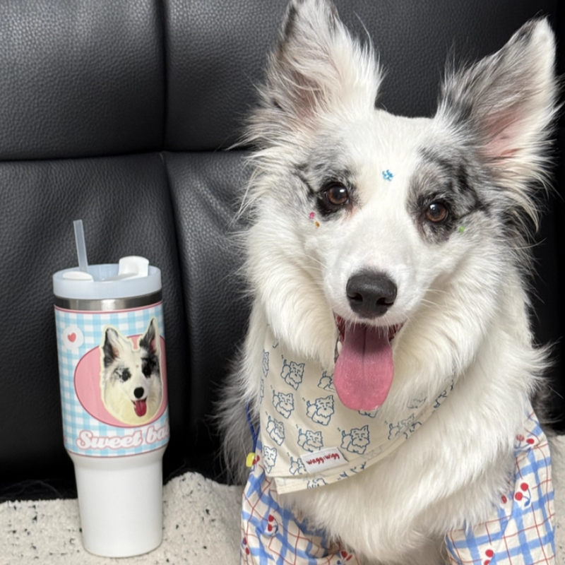 AikeDear - Custom Pet Portrait Tumbler