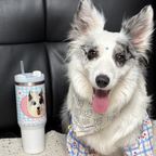 AikeDear - Custom Pet Portrait Tumbler